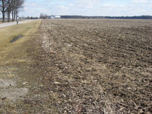 Property photo 13 - 127 Acres Offered in 4 Tracts